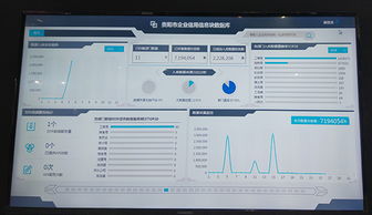 大數(shù)據(jù)如何重塑金融風(fēng)控 一家信息技術(shù)咨詢(xún)企業(yè)的實(shí)戰(zhàn)解析